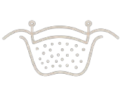 Icon Schalentechnik